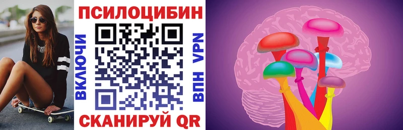 цена   Аткарск  Псилоцибиновые грибы GOLDEN TEACHER 